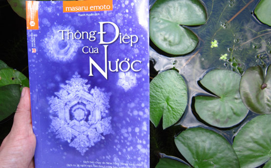 Thông Điệp Của Nước