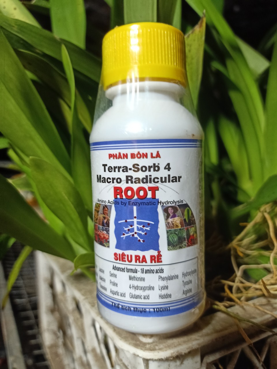 Phân Bón Lá Siêu Ra Rễ Terra - Sorb 4 Root Chai 100ml