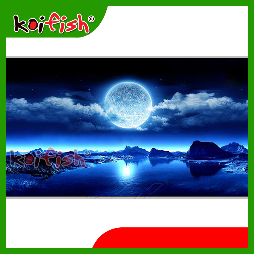 Tranh 3D -  Cho Hồ Cá Cảnh Koifish  120x50cm, Aqb19-221, siêu nét, siêu đẹp, các kích thước, theo yêu cầu