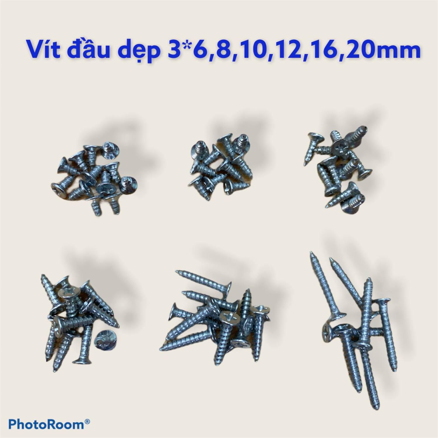Vít đầu dẹp 38mm 312mm 320mm 500g