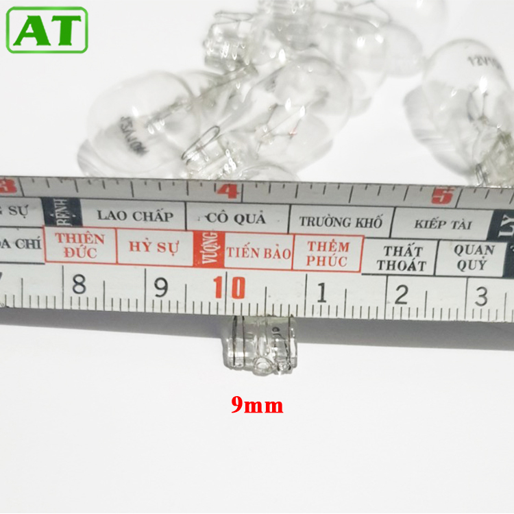 Combo 5 Bóng Đèn T10 12V 10W 1 Tóc Chân Cắm Halogen