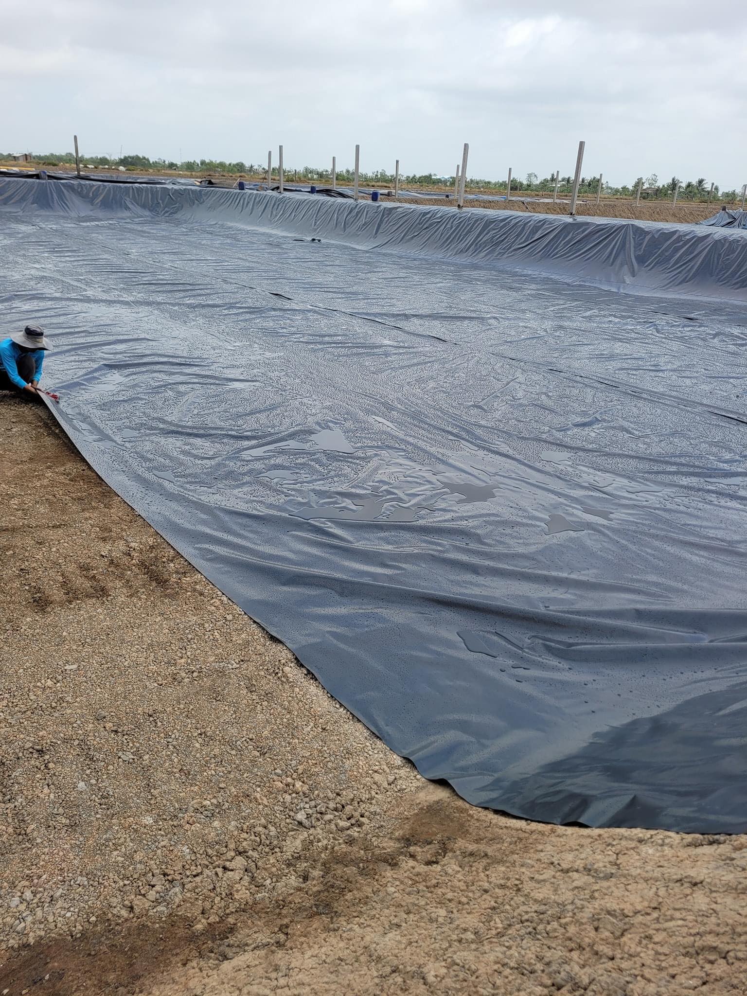Bạt lót hồ HDPE dày 0.5mm khổ 5m