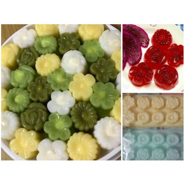 [HCM]combo 10 khuôn bông hoa hồngcúc mai 10 hoa 1 khay 3 mẫu nhựa vĩnh trường