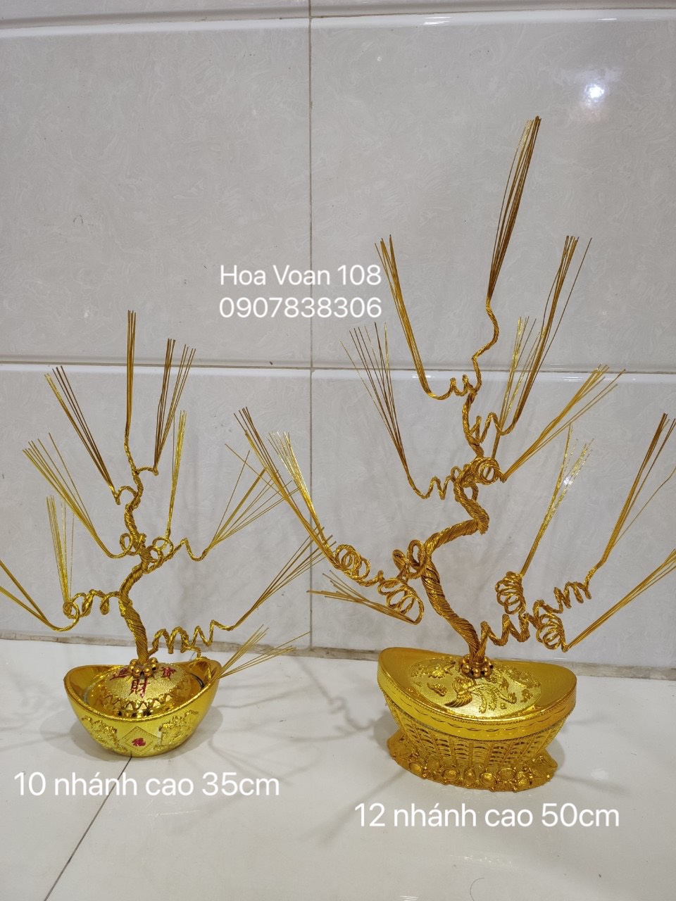 Gốc cây kim tiền( thỏi vàng +gốc)