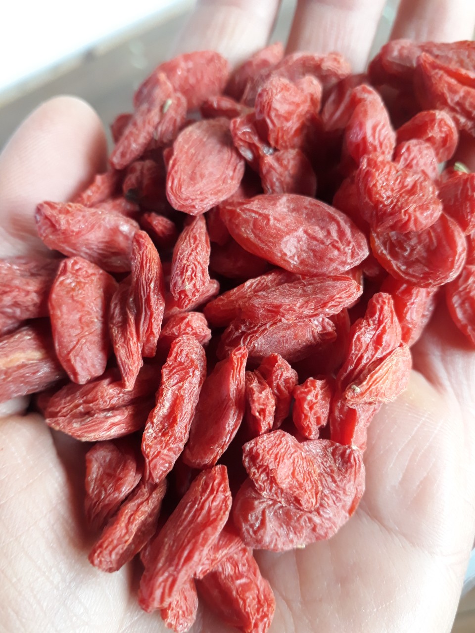 Kỷ tử sấy mộc Ninh Hạ, 500g
