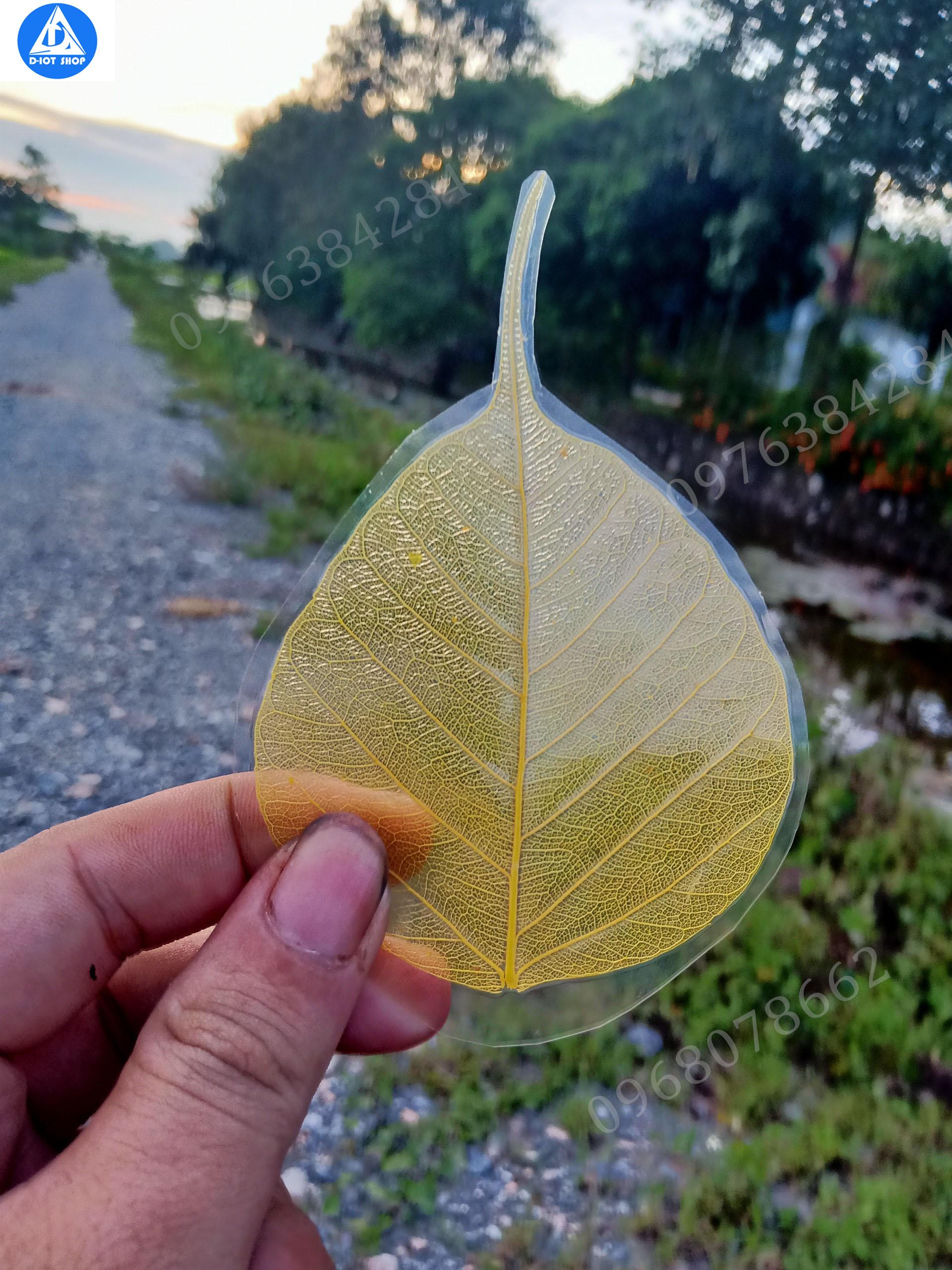 Lá bồ đề ép plastic ốp điện thoại