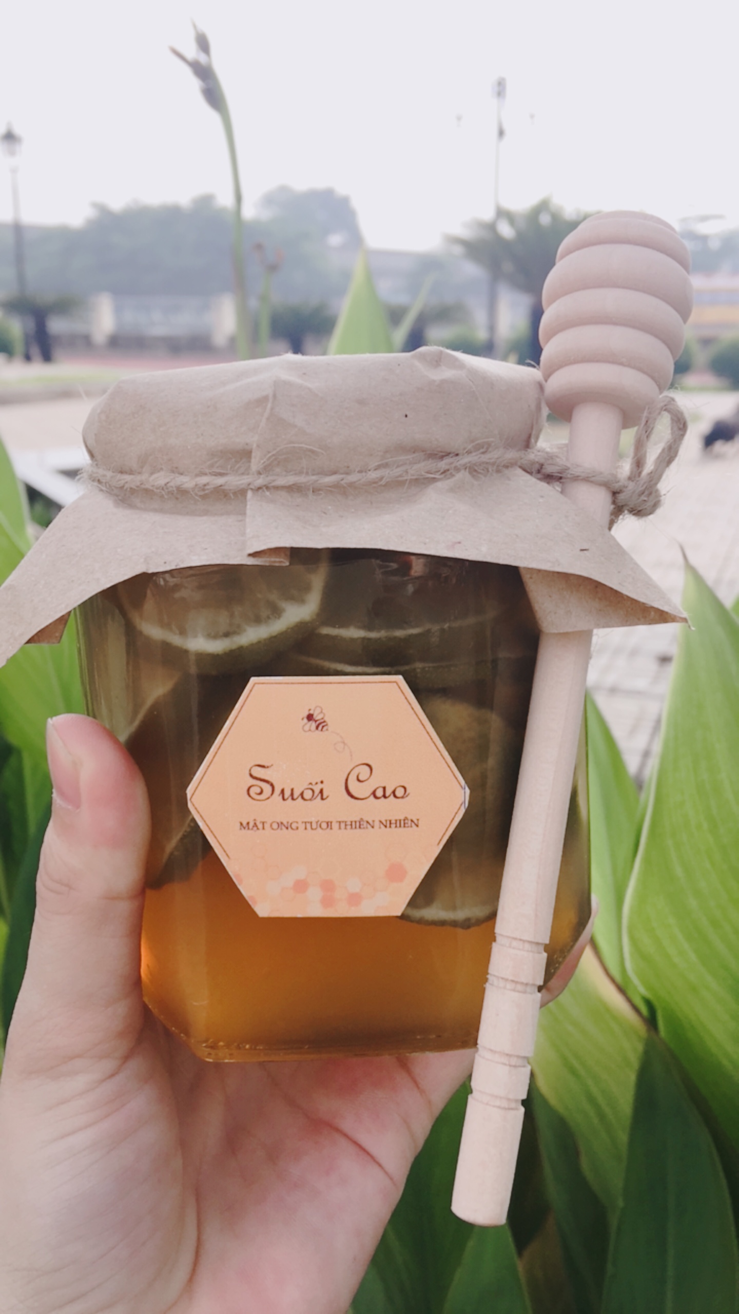 CHANH-NGÂM-MẬT-ONG-ĐƯỜNG-PHÈN-380ML