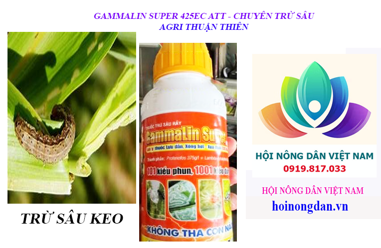 GAMMALIN SUPER 425EC ATT – CHUYÊN TRỊ SÂU RẦY