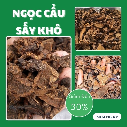 [Hàng mới về] Nấm ngọc cẩu sây khô - tấn phát - Hàng công ty chất lượng cao - tốt cho sức khoẻ của bạn [Túi 200gram]