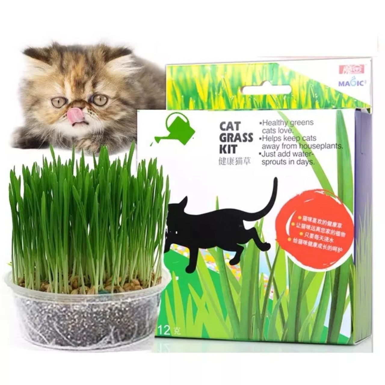 Bộ Kit Trồng Cỏ Mèo Magic Cho Mèo Pet