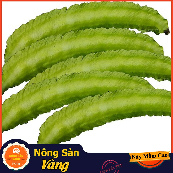 Bean seed (dragon bean) with high nutrition value, processed into more nutritious food (10 gram pack)-shallow yellow product
