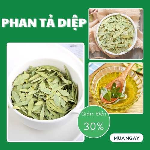 Lá phan tả diệp khô 1kg - Hàng sạch chất lượng cao hỗ trợ cải thiện tình trạng táo bón hiệu quả - Thảo Dược Tấn Phát