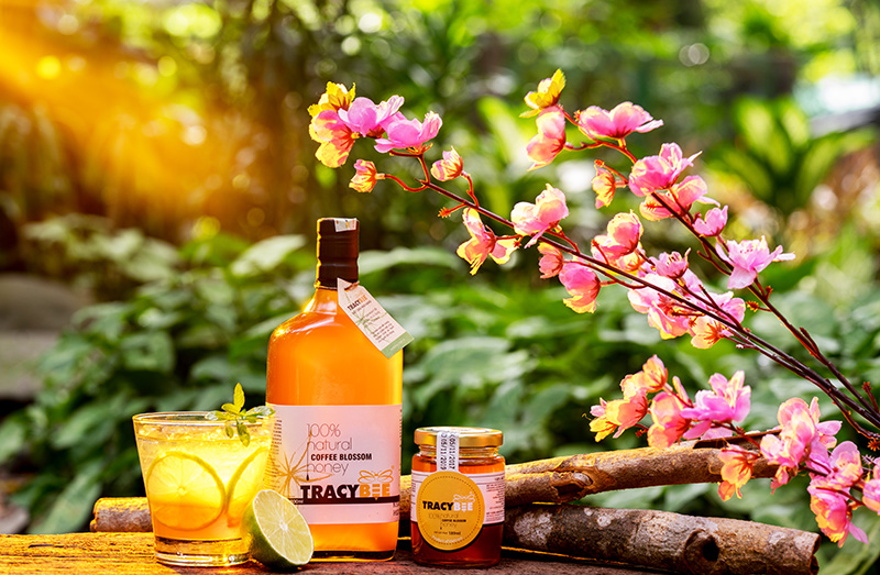 Hộp đôi quà tặng mật ong cà phê Tracybee 850G