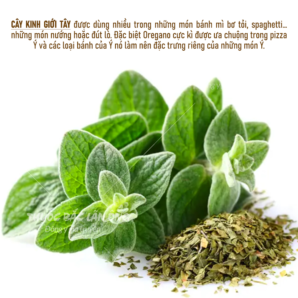 Lá kinh giới tây khô 1kg (Lá oregano nguyên liệu món Âu) - Lãn Ông