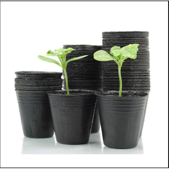 Set 10 bầu ươm cỡ nhỏ kt 10x10cm bầu nilon đen