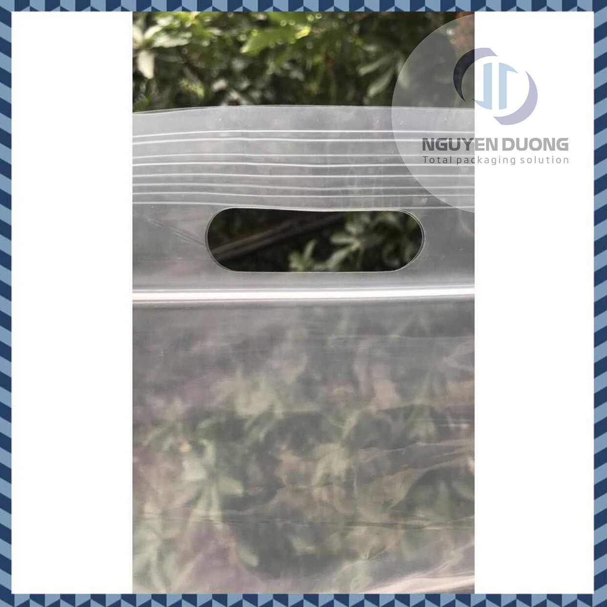 1kg Túi zip trong đột lỗ hột xoài