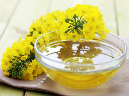 Dầu ăn hoa cải Nhật bản  Date T8/2026