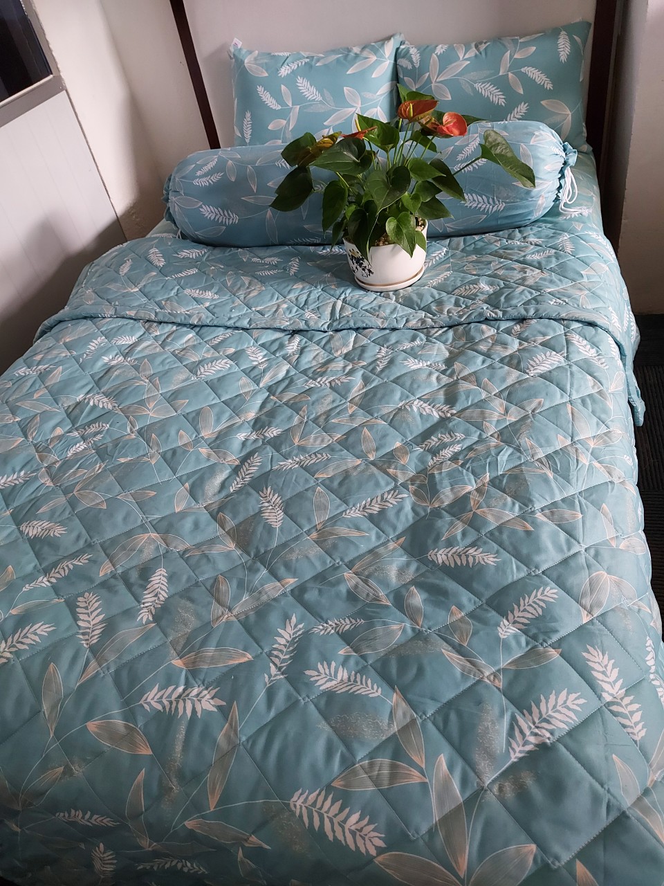 [SẴN HÀNG] Bộ ga gối 4 món Riotex 1m/m2/m4/m6/m8