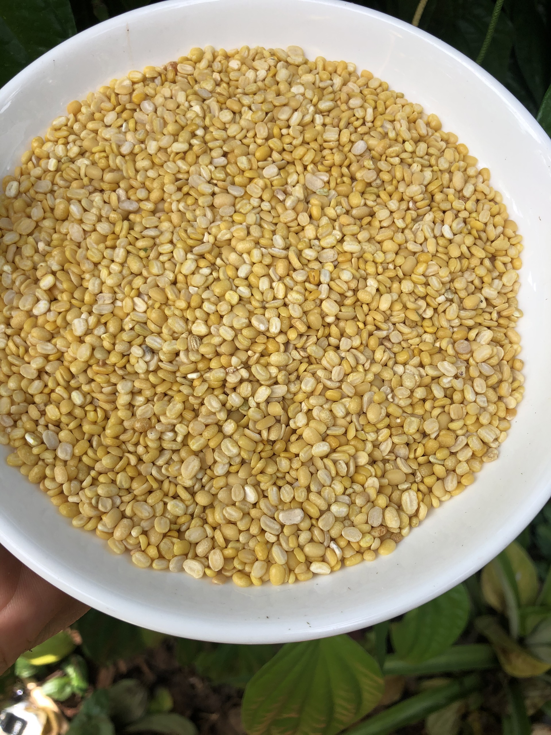 Đậu xanh đã bóc vỏ, cà sạch vỏ 500g