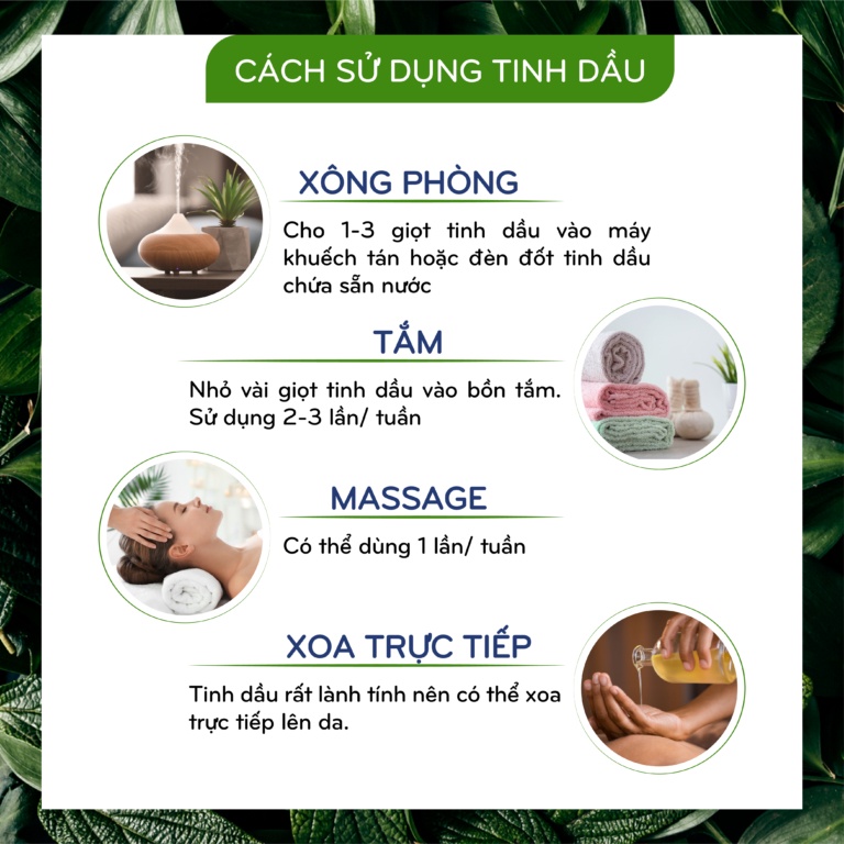 Tinh dầu vỏ quế 10ml ECOCARE, mã TDE977_QUE
