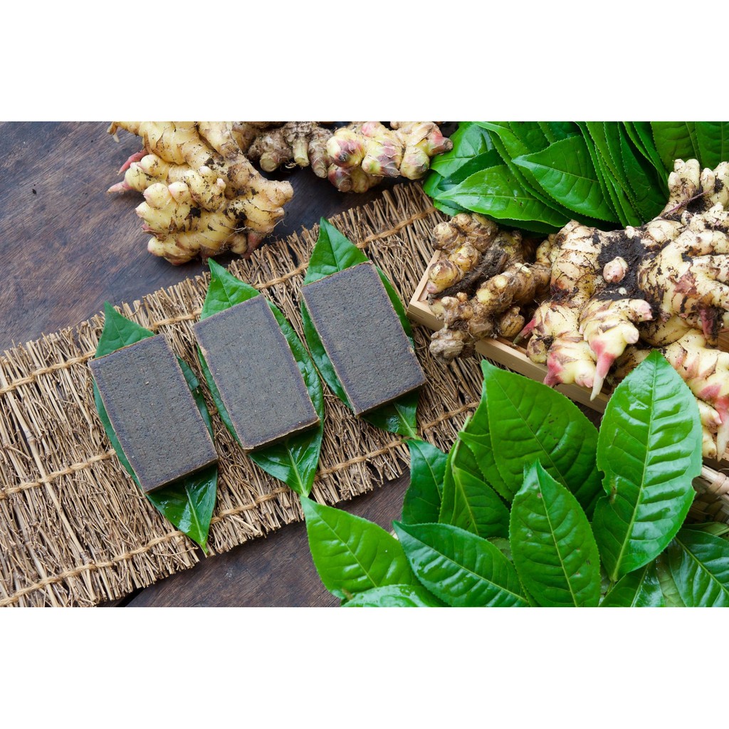 XÀ BÔNG GỪNG TRÀ [STORY OF THE FOREST]