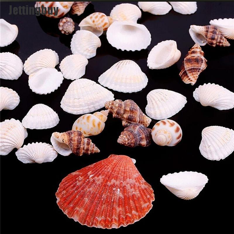 100g Beach Mixed SeaShells Sea Shells Shell Craft SeaShells Aquarium Decor Random