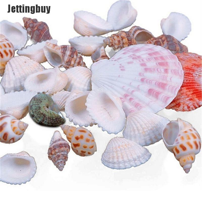 100g Beach Mixed SeaShells Sea Shells Shell Craft SeaShells Aquarium Decor Random