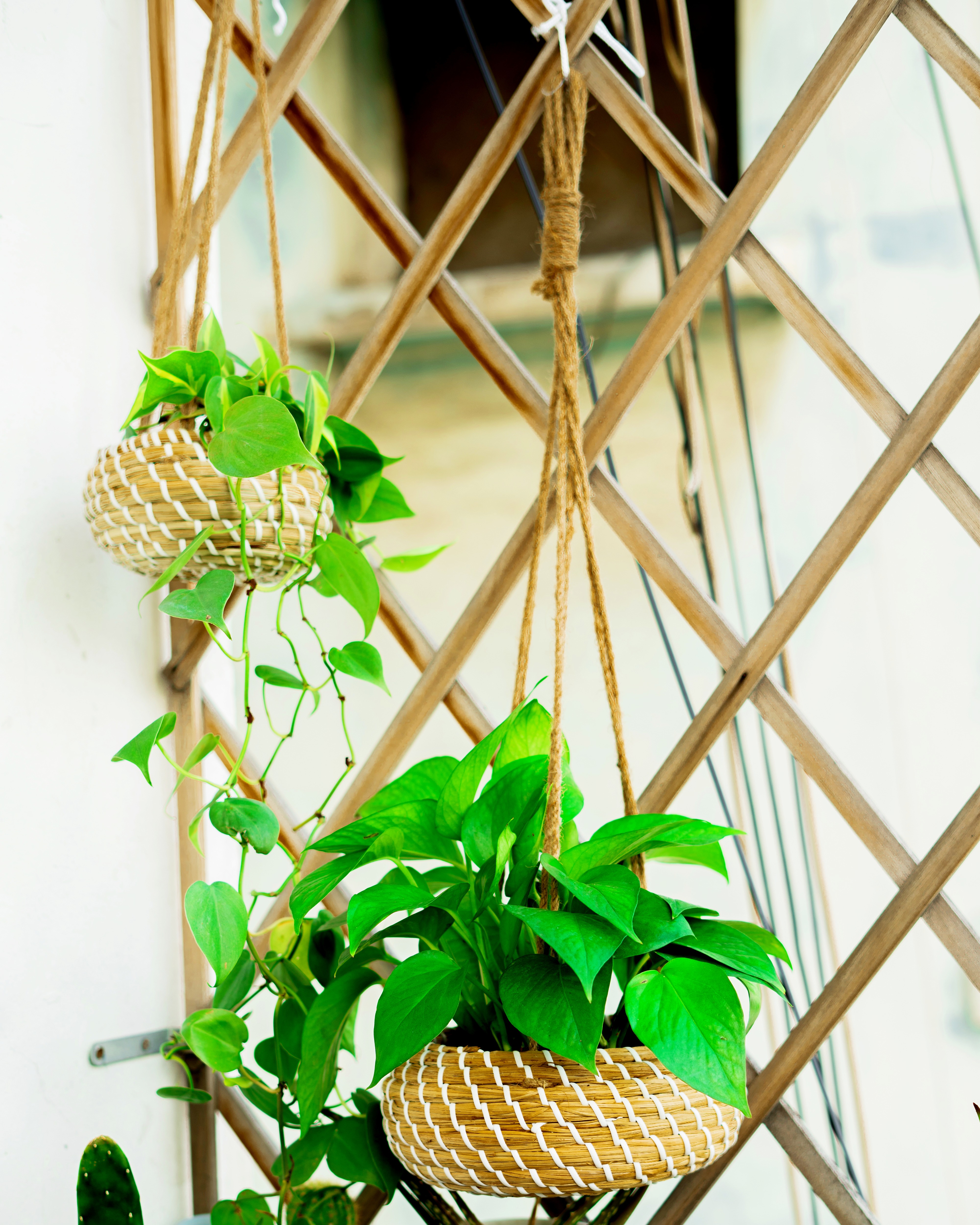 GIỎ TREO CÂY ĐAN MÂY TRANG TRÍ AMADE