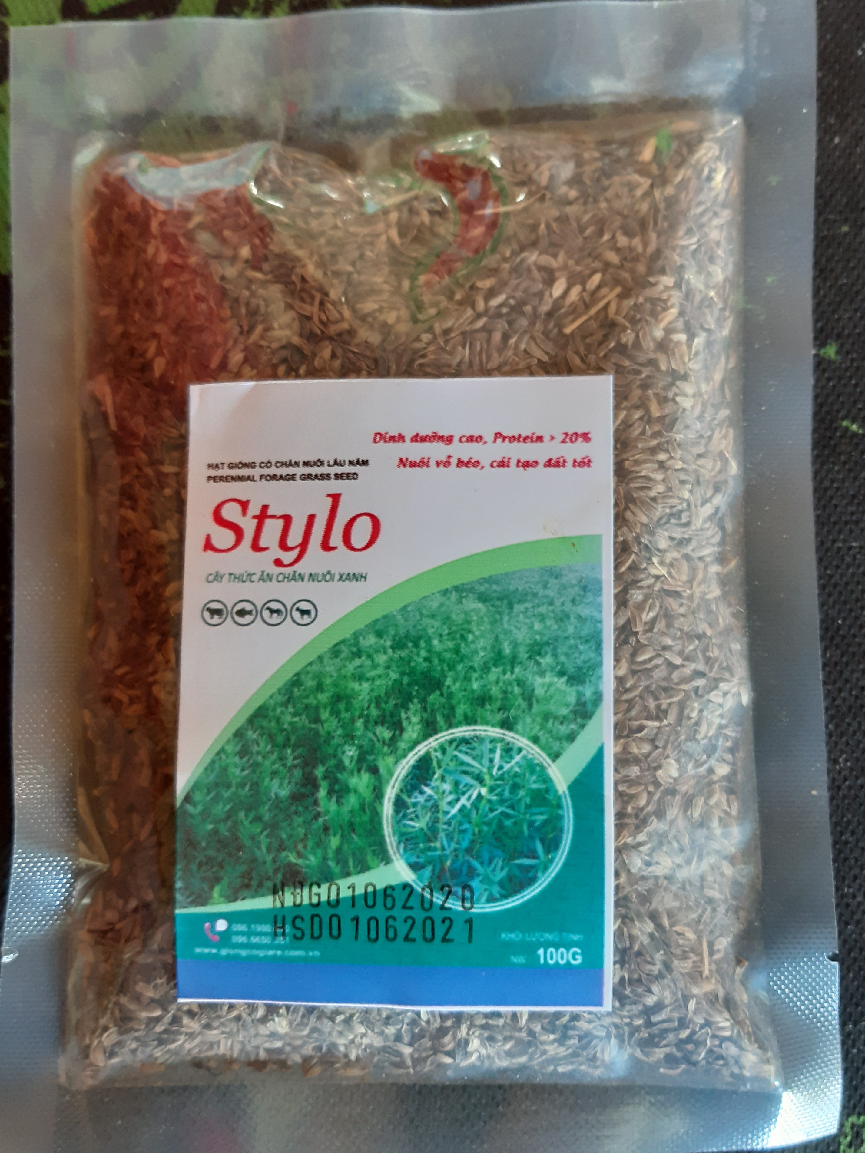 Hạt Giống Cỏ Stylo – Dinh Dưỡng Cao