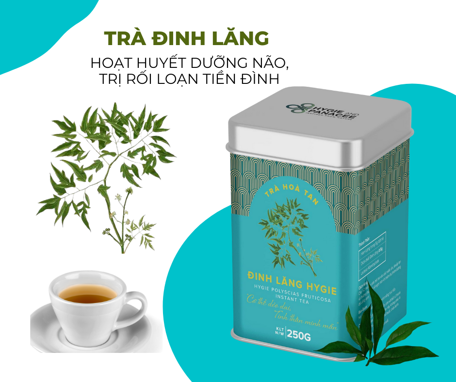 Dược trà hòa tan Đinh lăng Hygie&Panacee