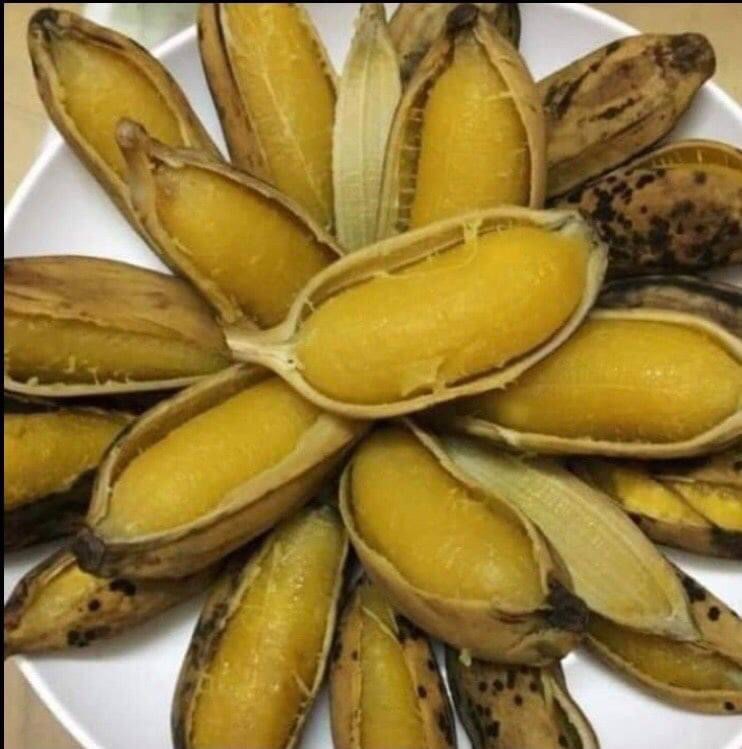 cây giống chuối sáp (chuối lá luộc)