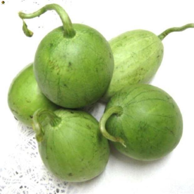 Hạt dưa hấu nụ, dưa canh - gói 5 gram