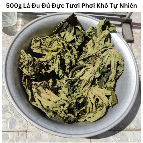 Lá Cây Đu Đủ Đực Tươi 500 gam.