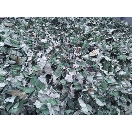 500gr Lá sen khô hàng loại 1