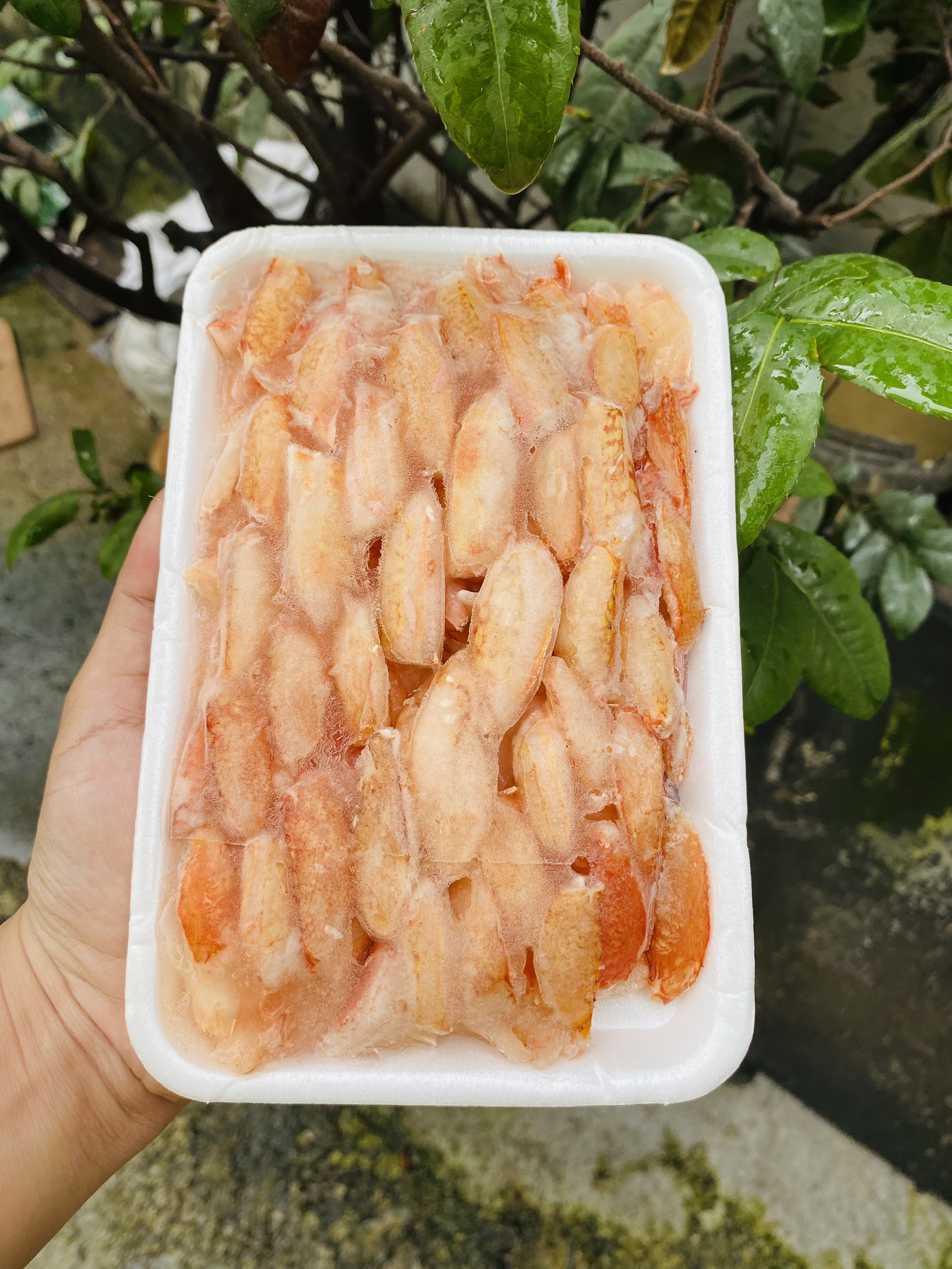 [GIAO NHANH 2H HCM] Giá Sỉ Thịt Càng Ghẹ A