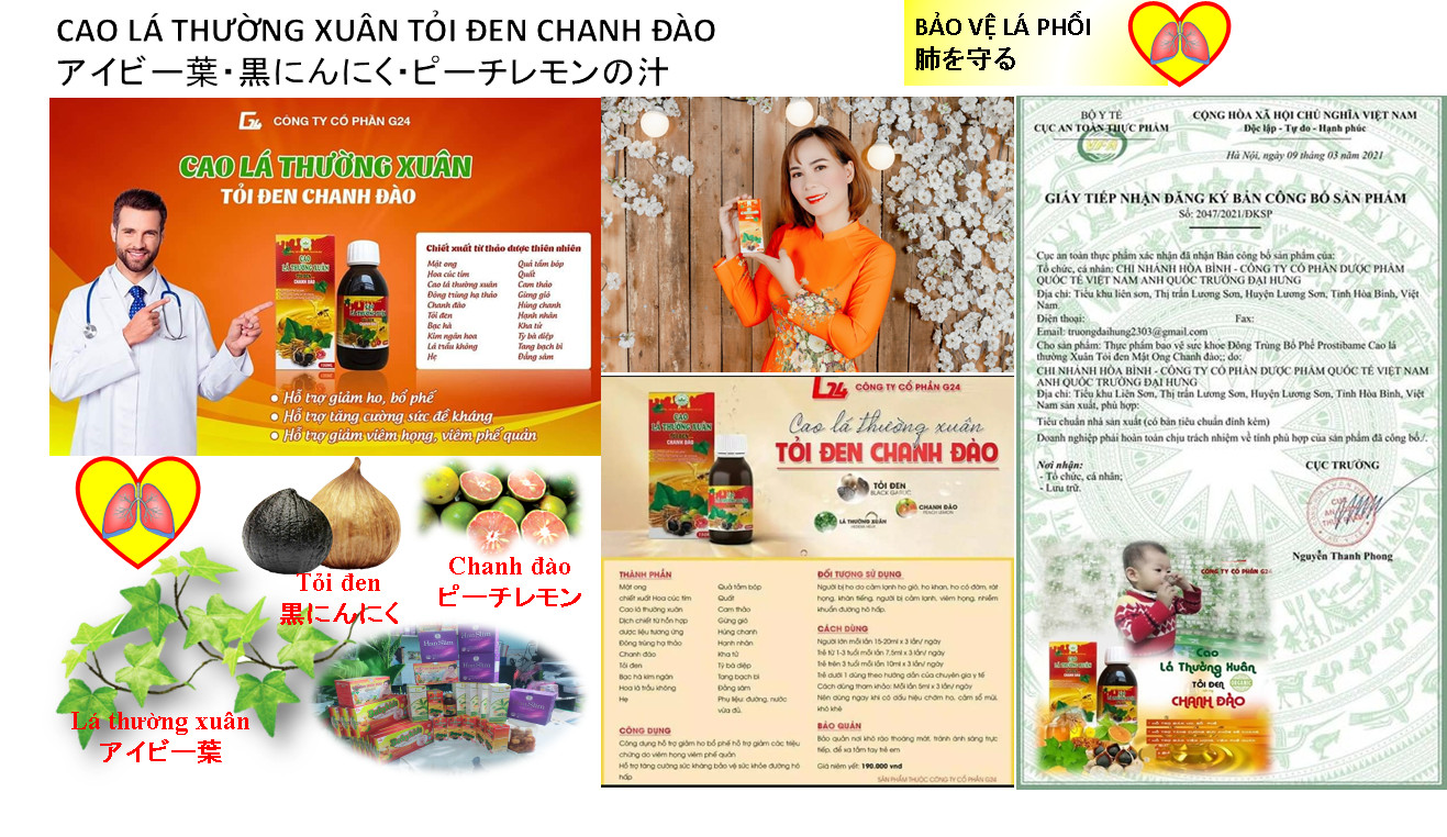 Bối mẫu cao lá thường xuân