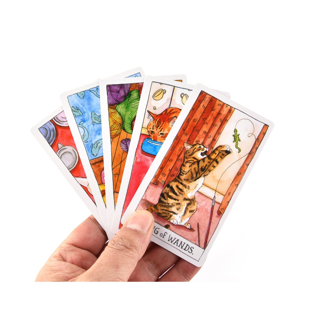 Bộ bài Cat Tarot Size Gốc