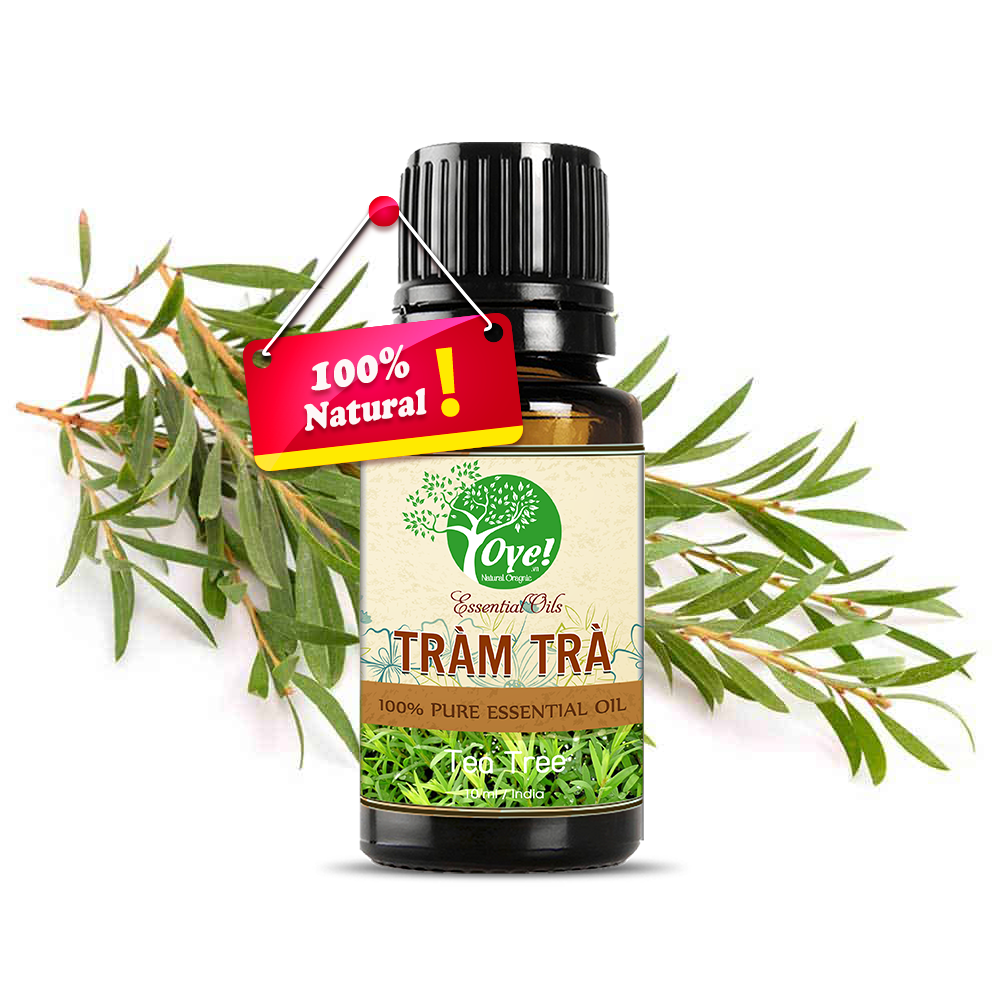 Tinh Dầu Tràm Trà  Đuỗi Muỗi - OYe 10ml
