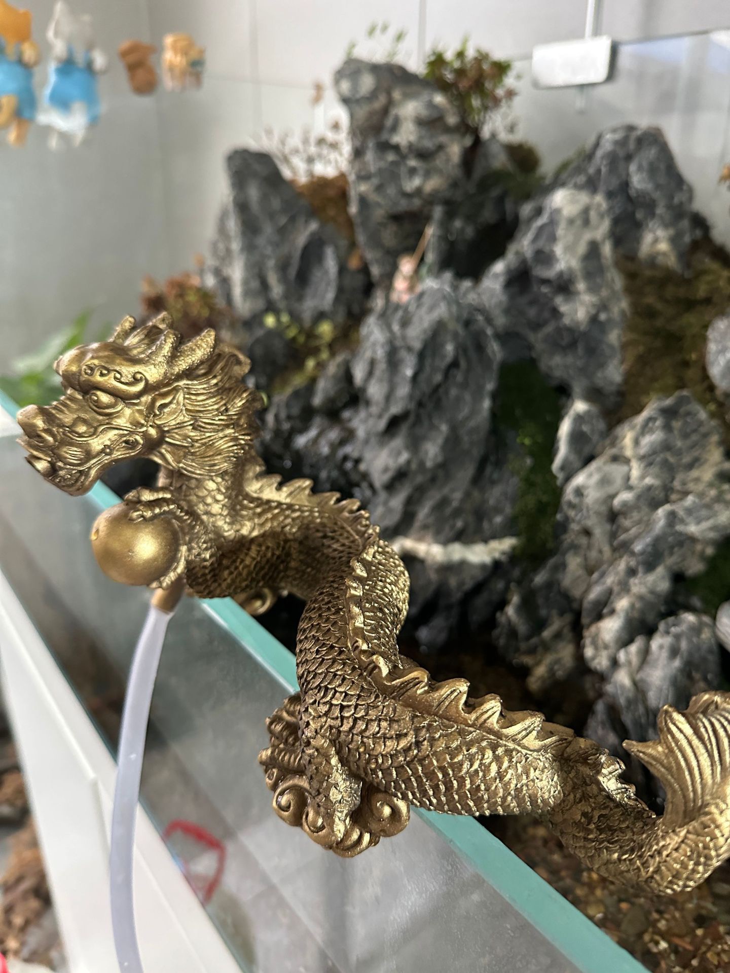 Trang Trí Hồ Cá Thuỷ Sinh - Rồng Phun Nước