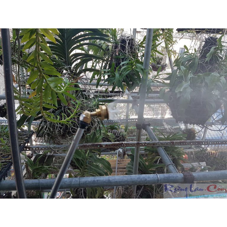 Béc phun 5 lổ kiểu cong/ kiểu thẳng 8mm/ 13mm/ 21mm