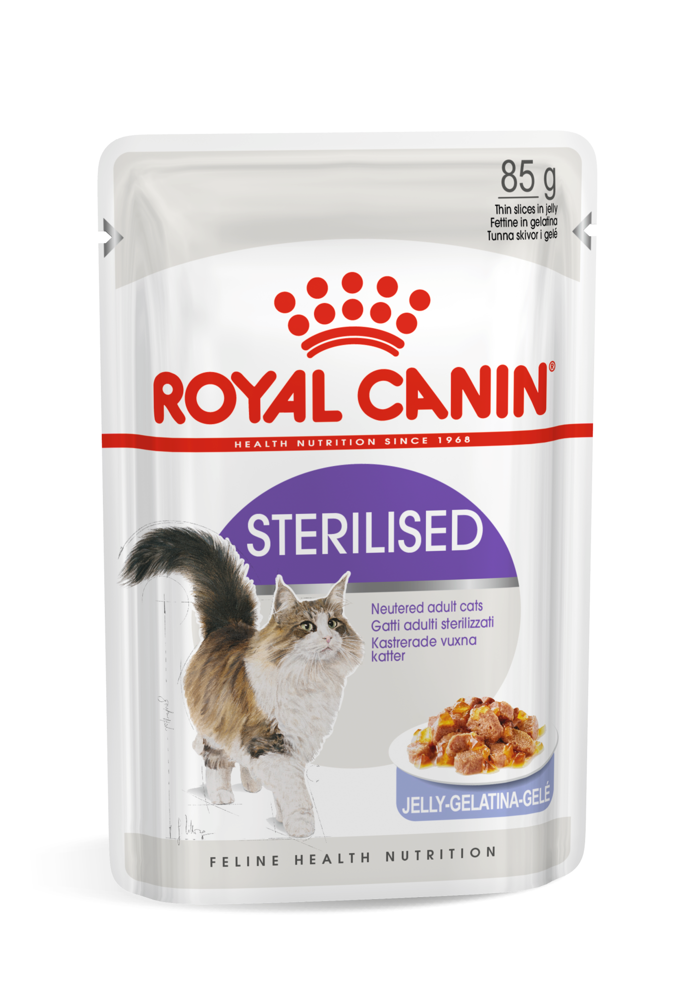 Pate ROYAL CANIN 85g FREE SHIP TRỌN BỘ 30 vị