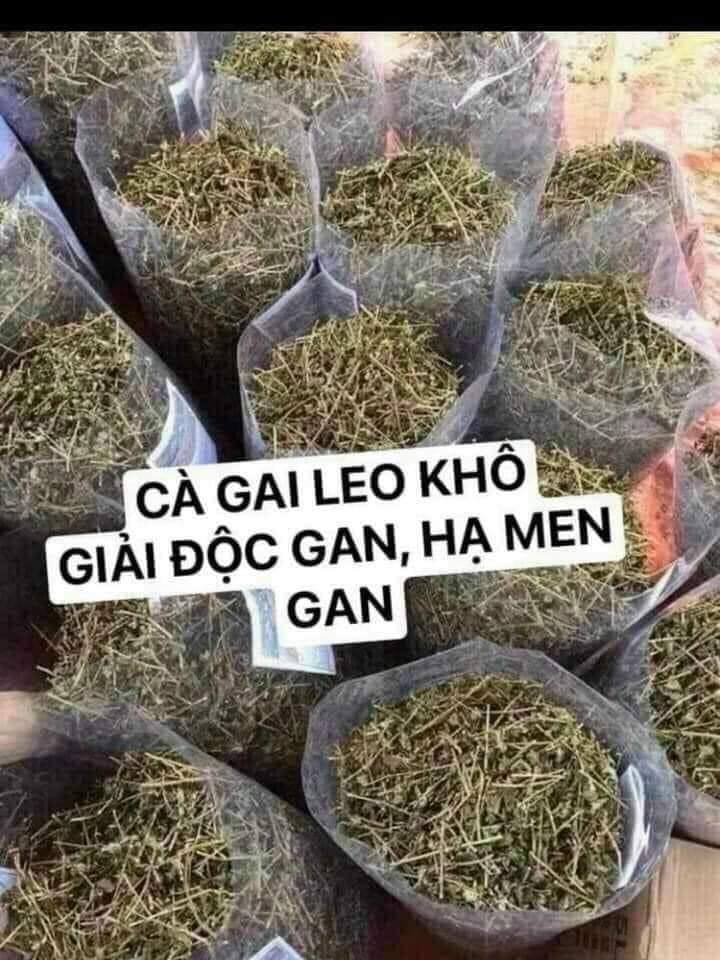 (Dược liệu khô) Cây Cà gai leo phơi khô 500g