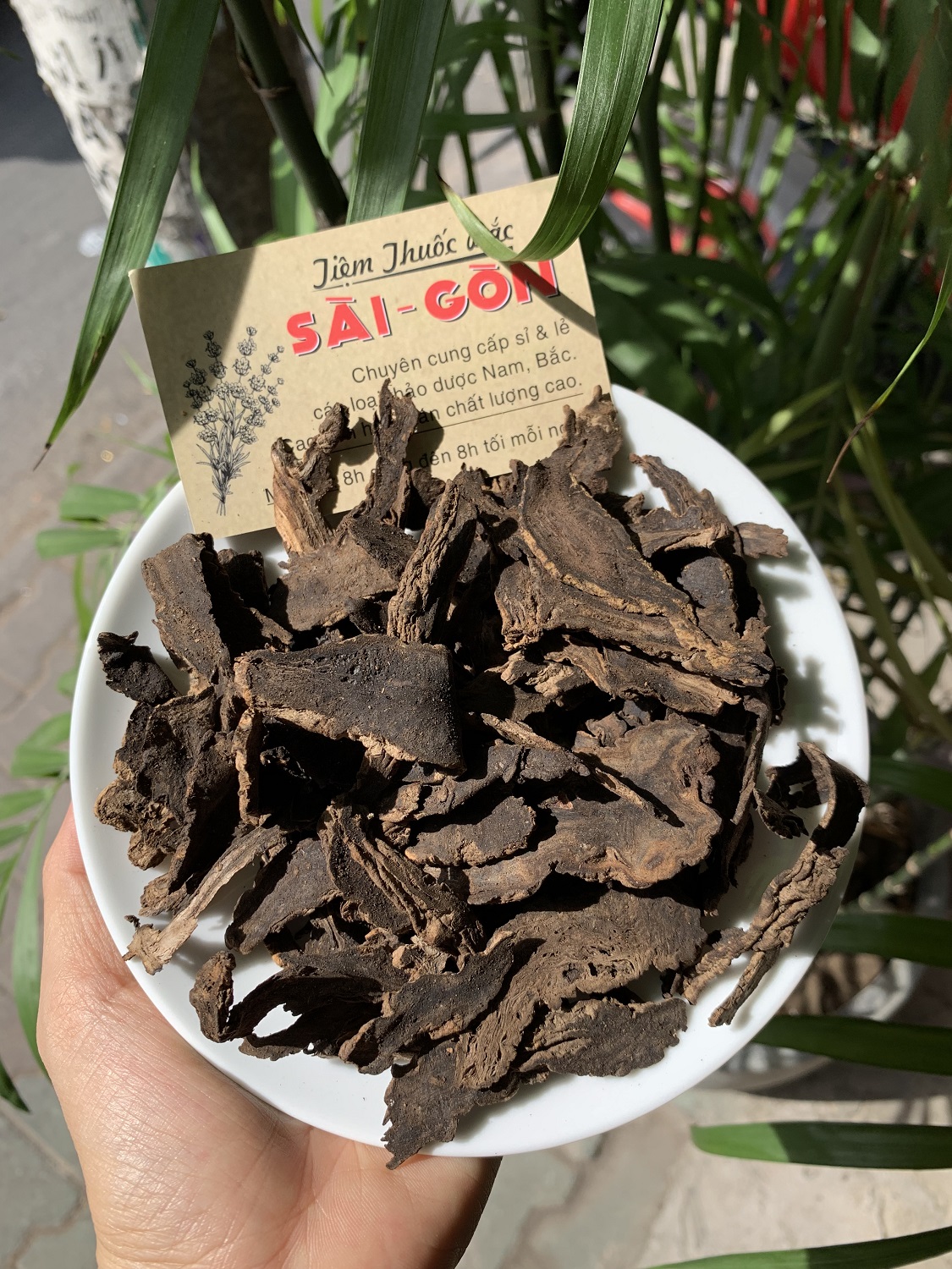 [HCM]HUYỀN SÂM KHÔ 100GRAM Tiệm Thuốc Bắc Sài Gòn