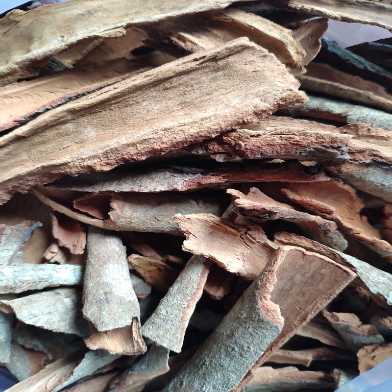 Quế thanh ngâm ủ enzym bồ hòn