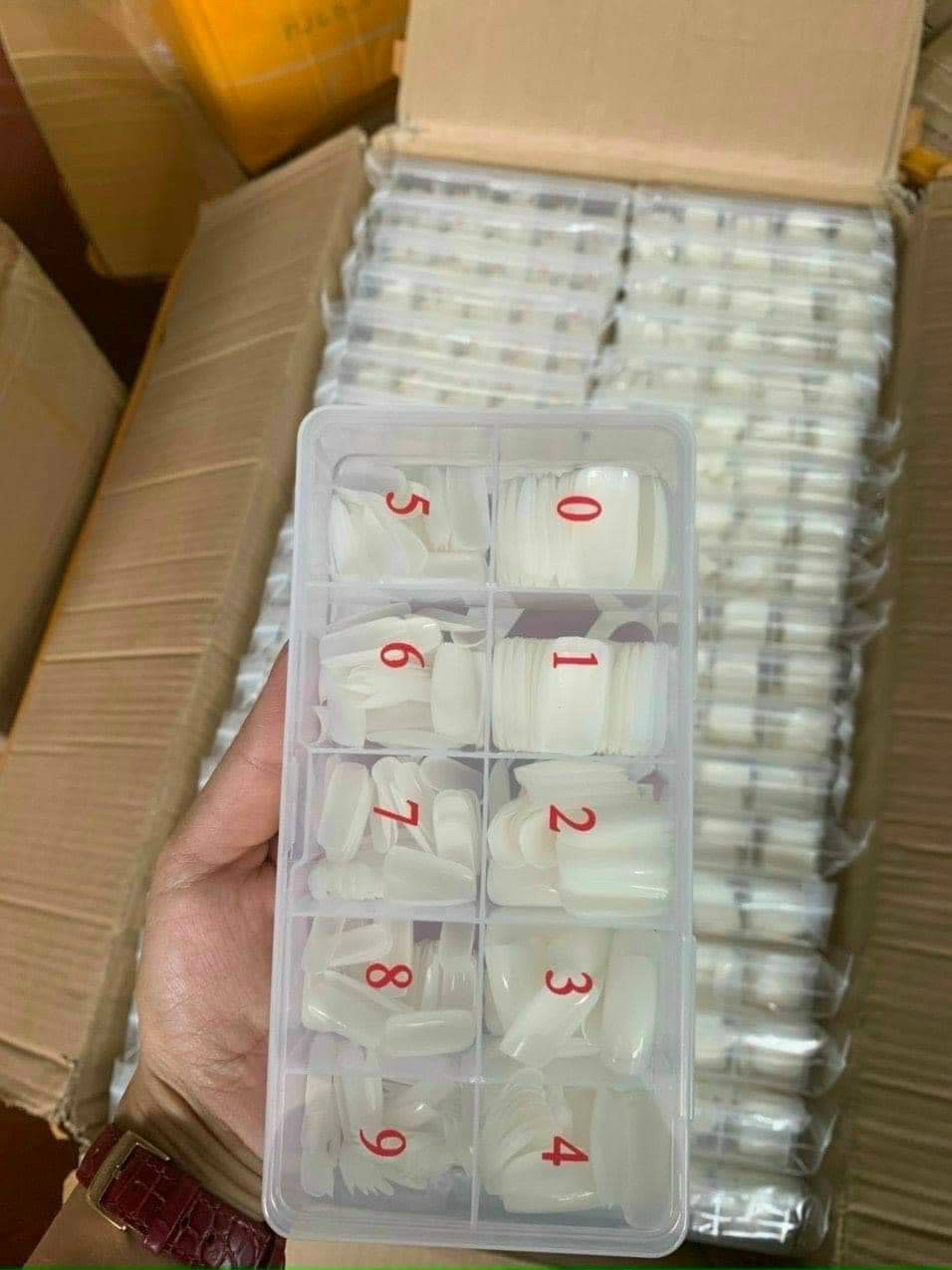 Móng úp chân dài màu đục. móng úp chân dài