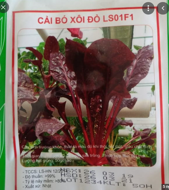 Hạt giống rau cải bó xôi đỏ gói 50 hạt