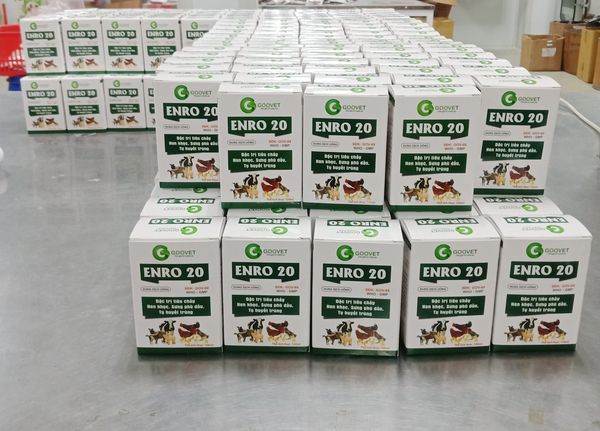 ENRO ONE