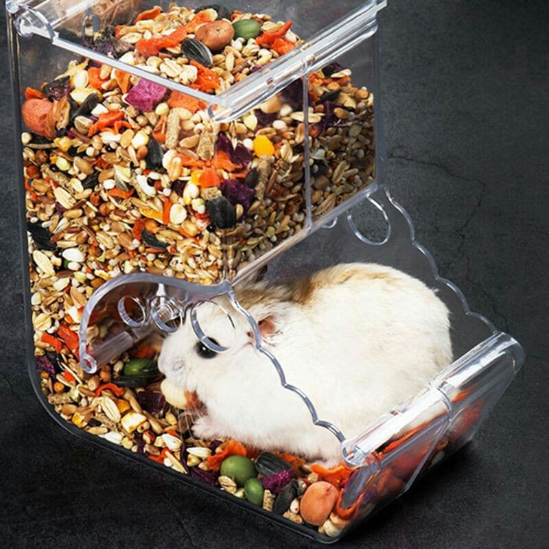 Bộ đổ hạt tự động Zoog cho hamster