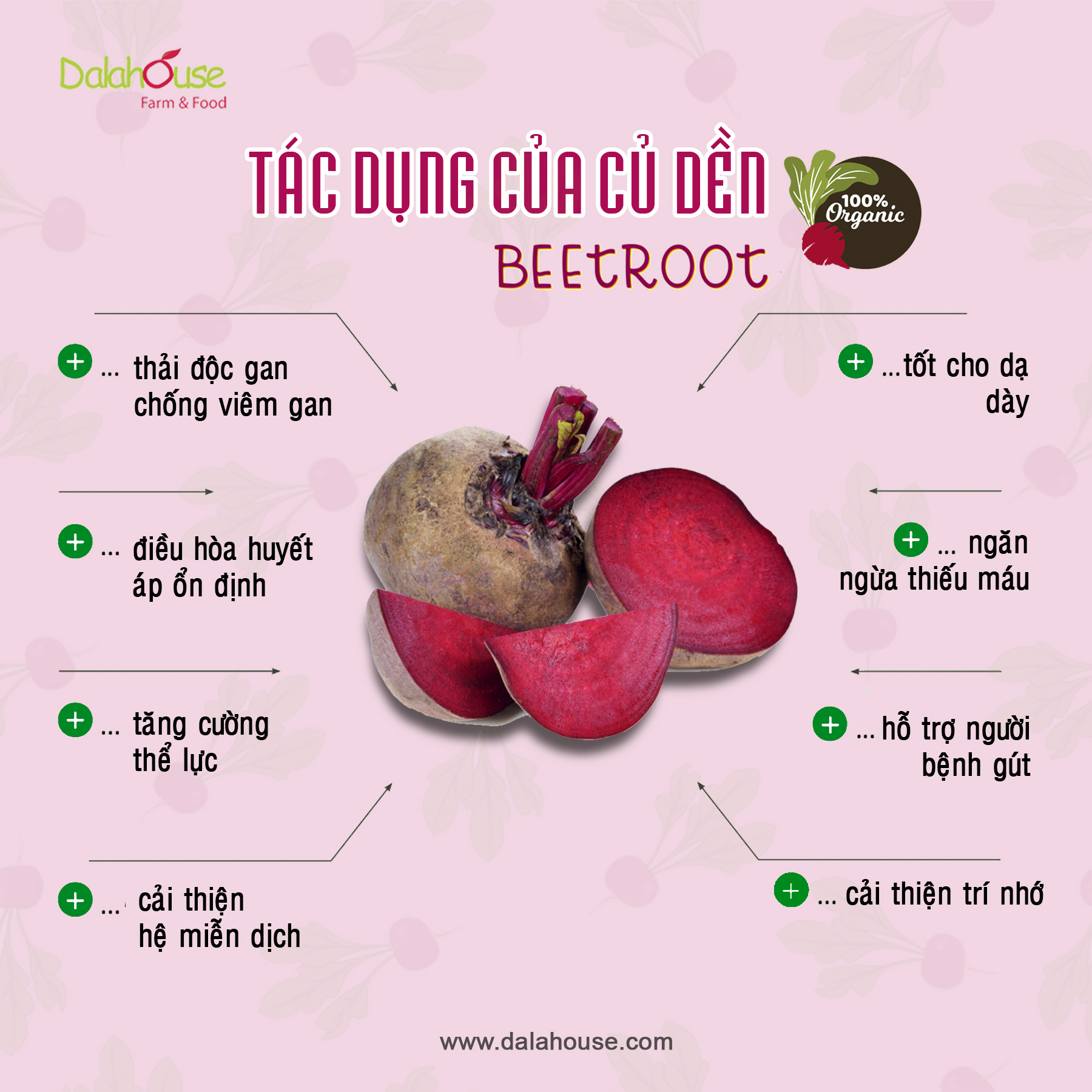 Bột Củ Dền DalaHouse Nguyên Chất (100% Natural Beetroot Powder) Hộp 150g