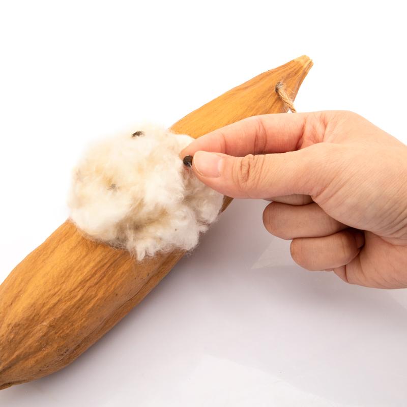 Nệm Gòn Cho Hamster